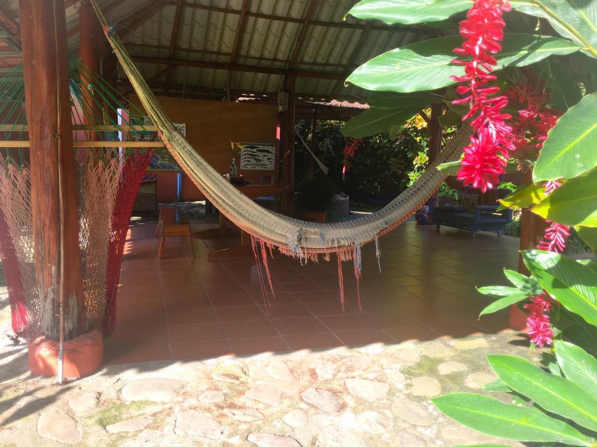 Casa Ballena Eco Hostel Uvita Exterior photo