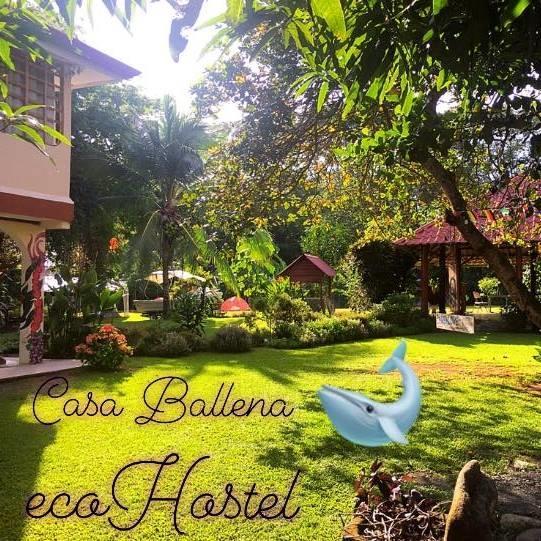 Casa Ballena Eco Hostel Uvita Exterior photo